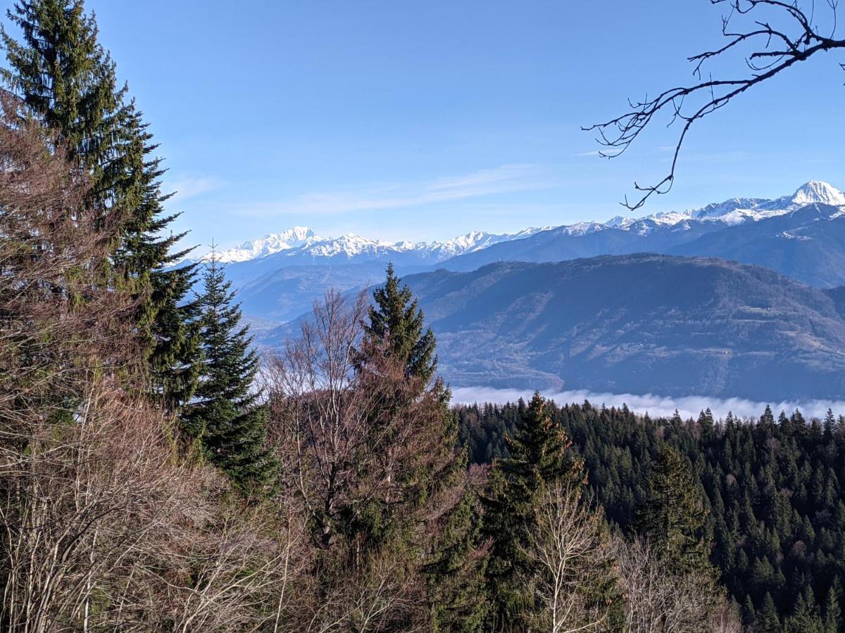 Appartement De Plain-Pied En Montagne Avec Vue Merveilleuse Sur Le Massif De Belledonne Saint Bernard du Touvet Dış mekan fotoğraf